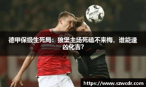 星空综合官网